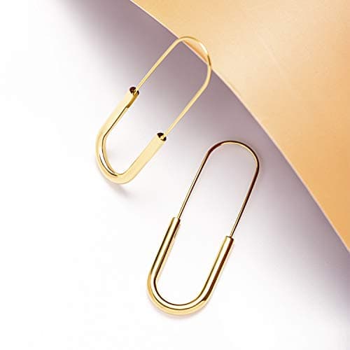 Lane Woods Minimalist Hoop Earrings: Gold Plated Trendy Jewelry for Women