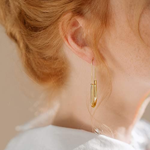 Lane Woods Minimalist Hoop Earrings: Gold Plated Trendy Jewelry for Women